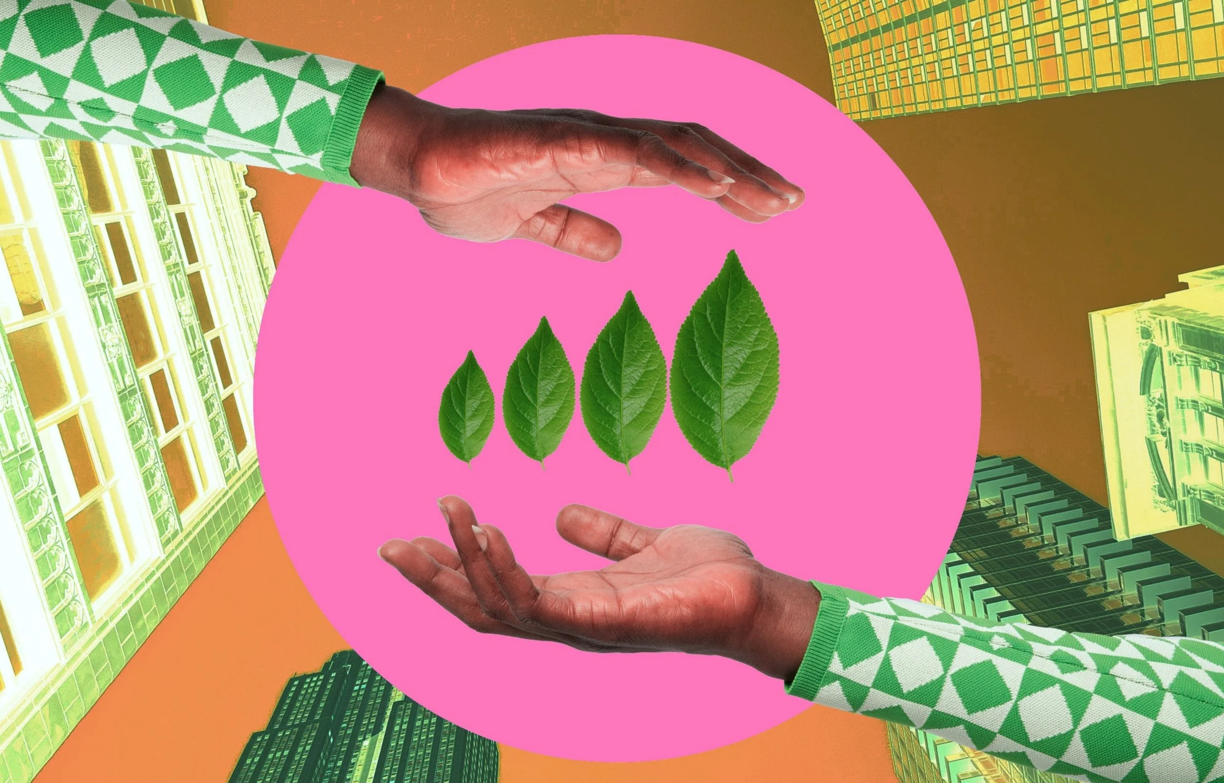 Transforming Challenges into Opportunities: Essential Insights for Sustainable Business Development