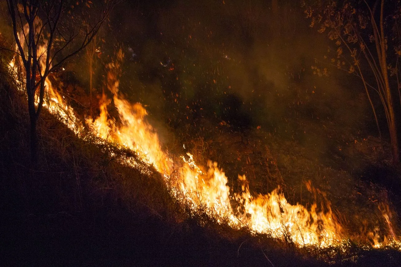 Wildfire Risk and Credit Implications for Utility Insurers in the U.S.