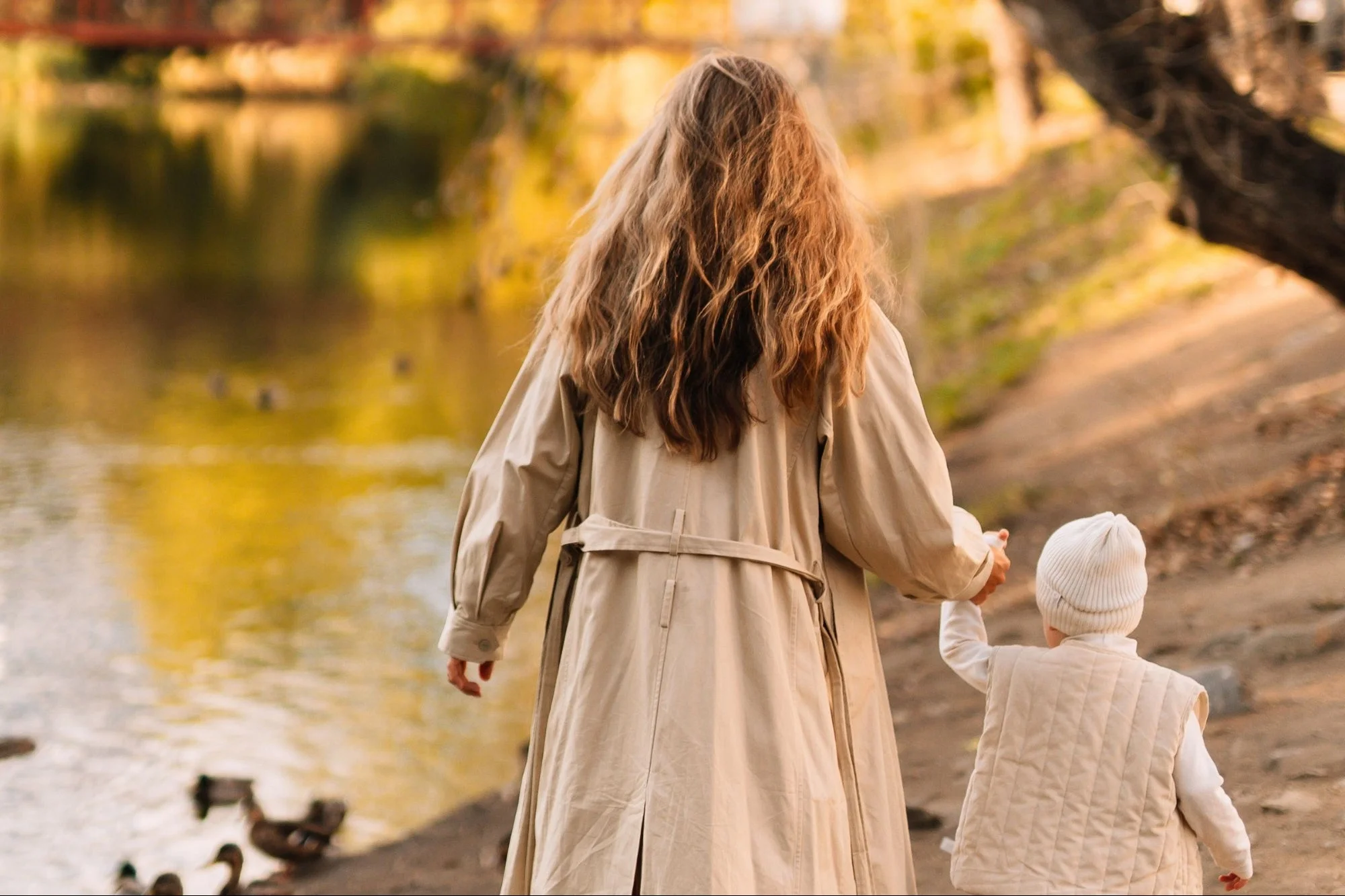 Finding Fulfillment Beyond Early Retirement: Lessons on Time, Value, and Happiness