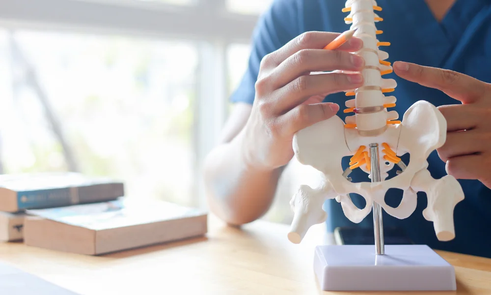 Court Upholds No-Fault Chiropractic Award Against American Transit Insurance