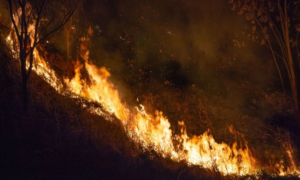 Wildfire Risks Surge in Western US as Insurers Face Coverage Challenges